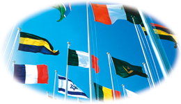 �Љ�v���A�����ւ̎��g��